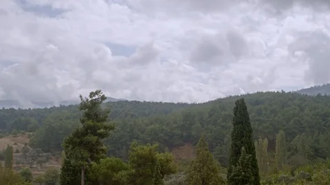 Dense Clouds Over Forest Stock Footage 116690963