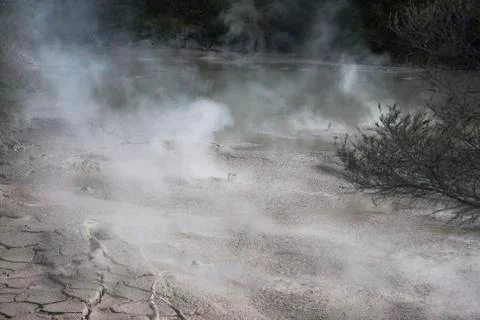 Dense clouds of steam floating over the boiling mud. Stock Photos