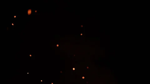 Dense coal embers and smoke scattering in wind on black background, VFX overlay Stock Footage 343881838