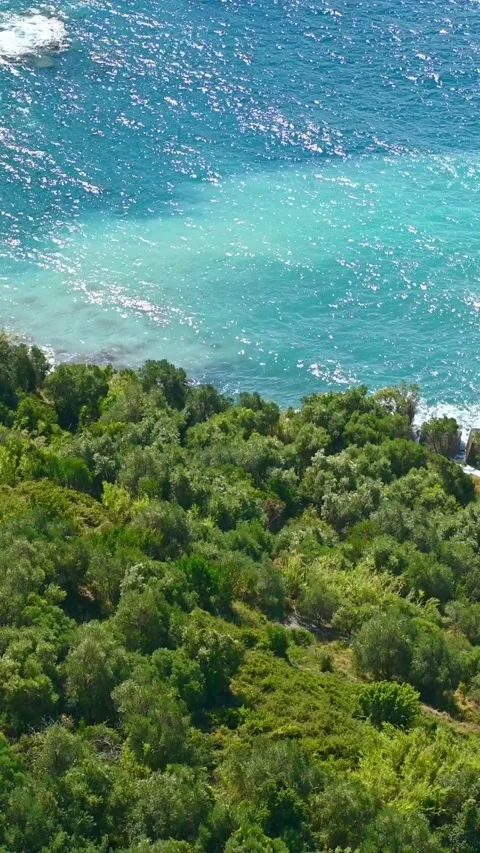 Dense coastal forest bordering turquoise mediterranean sea from cliff Video stock 345079773