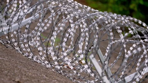 Dense Concertina Wire Rolls Mounted on Concrete, Medium View Stock-Footage 344118480