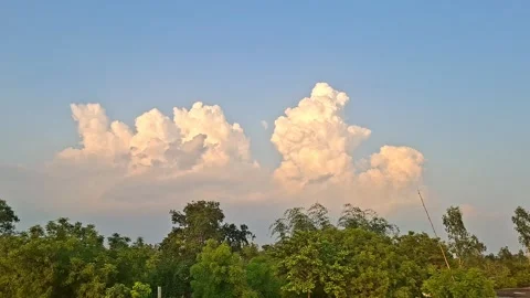 Dense Cumulus Clouds Accumulating Over Green Forest Canopy Vídeo Stock 336225316