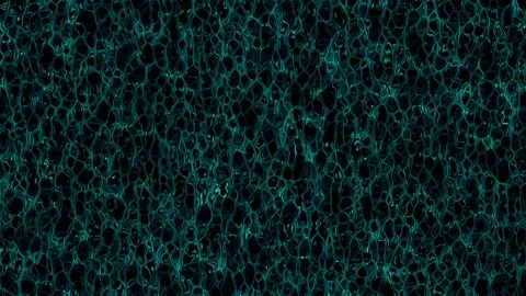 Dense Cyan Liquid Caustics Net Loop Stock Footage 342344716