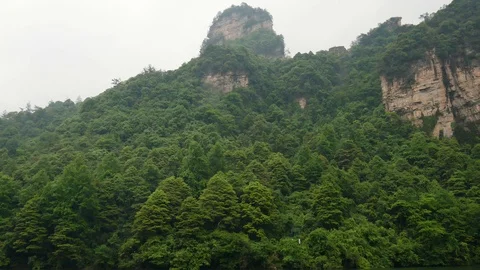 Dense Evergreen Forests Growing On The Rock Formations In Mountain Stock Footage 108788975