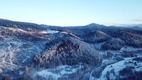 A dense evergreen spruce forest covering the white snow-capped hills of the Stock Footage 229558729