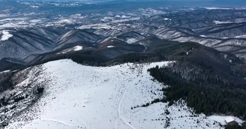 A dense evergreen spruce forest covers the white snow-capped hills Stock Footage 201491496