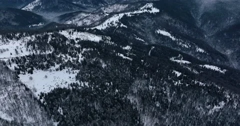 A dense evergreen spruce forest covers the white snow-capped hills Stock Footage 201492224
