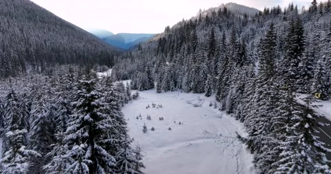 A dense evergreen spruce forest covers the white snow-capped hills of Romania Stock Footage 205096806