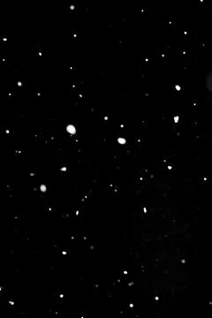 Dense falling snow on black background, particle overlay for winter design Stock Photos