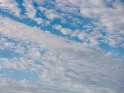 Dense field of white altocumulus clouds sweeping diagonally across a bright blue Photos