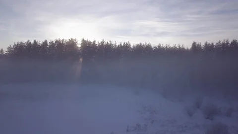 Dense fog hovering by forest during sunset in winter Stock Footage 105163050