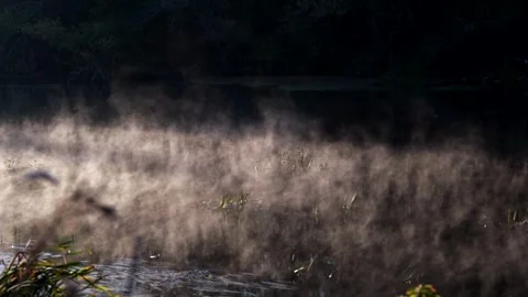 Dense fog moves chaotically in thick clumps over the water in the rays of dawn Stock Footage 308008183