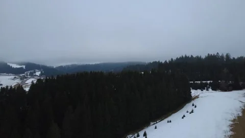 Dense Fog Over Black Forest Hills Under Gray Winter Sky Stock Footage 329892148