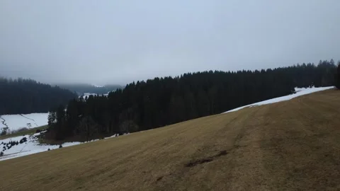 Dense Fog Over Black Forest Hills Under Gray Winter Sky Stock-Footage 329892188