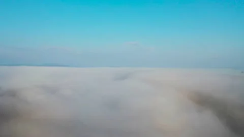 Dense fog over the field 스톡 동영상 239887128