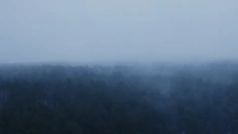 Dense fog over the forest Video stock 258849645