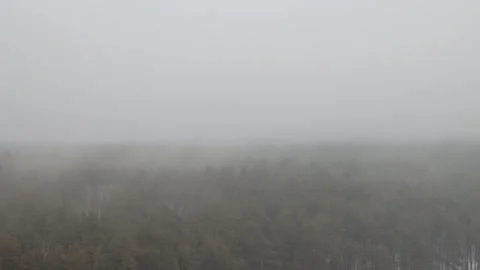 Dense fog over forest Stock Footage 287601780