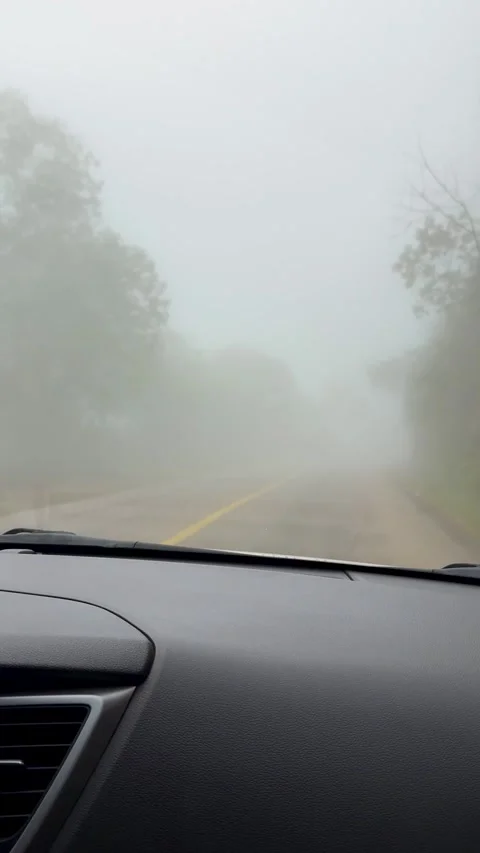 Dense Fog on the Roadway Stock Footage 296353671