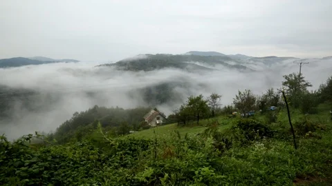 Dense Fog In The Valley Video stock 95771783