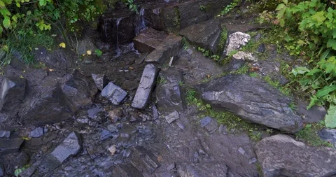 Dense foliage surrounding a waterfall with moss logs and the rest of the forest Stock Footage 120230451