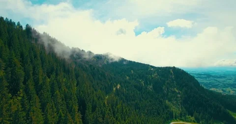 Dense Forest From The Air With Drone Stock Footage 108857753