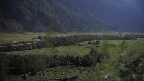 Dense forest and mountains, clear weather Stock Footage 137229534