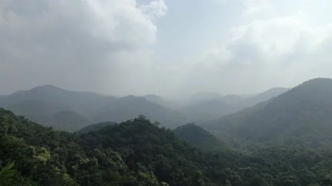 Dense forest and mountains drone shot 4k 30p Stock Footage 231334503