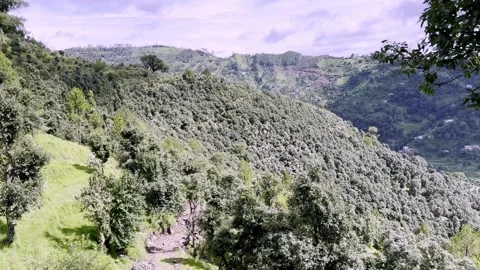 Dense Forest and Village Showcasing Peaceful Rural Life Video stock 341496311