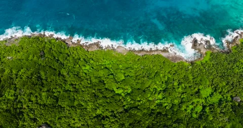 Dense forest bordering a turquoise coastline. Seychelles, Mahe. Stock Footage 322015168