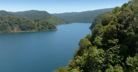 Dense forest borders a tranquil lake. Lake Waikaremoana, Te Urewera National Stock Footage 301409967