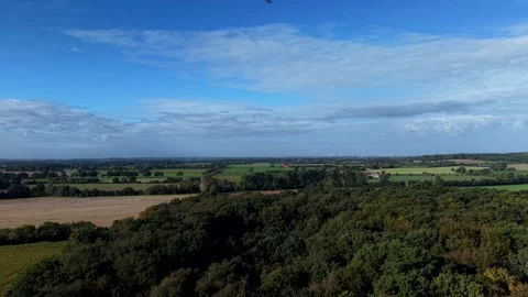 Dense forest canopy borders wide open green and golden farmland stretching Stock Footage 347215678