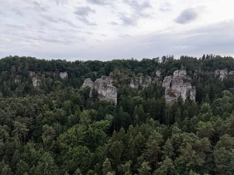 Dense forest canyon with towering limestone pillars under overcast sky, rug.. 写真素材
