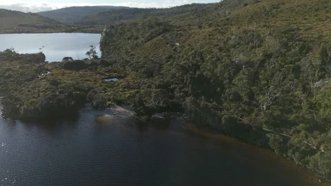 Dense Forest Coastline with Mountain Lake Aerial View Stock Footage 341614070