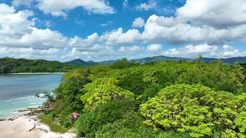 Dense forest cover hidden gem in Lombok, epic view of Indonesia - aerial 4k 動画素材 331569497