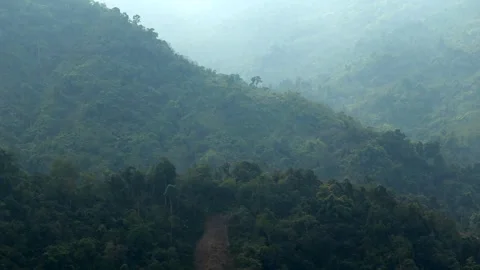 Dense Forest Covering Misty Mountain Slopes Stock Footage 329840262