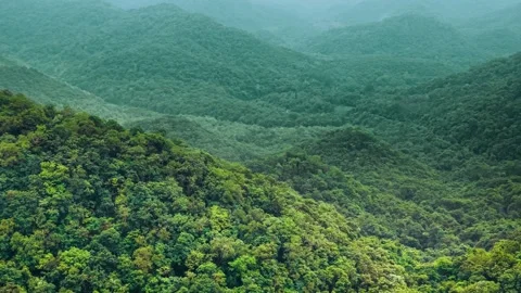 Dense forest covering rolling hills forming a vital carbon storing ecosystem Stock Footage 340813541