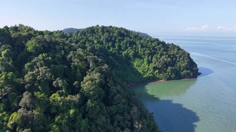 Dense forest covers island peaks with vibrant green foliage Stock-Footage 344954139
