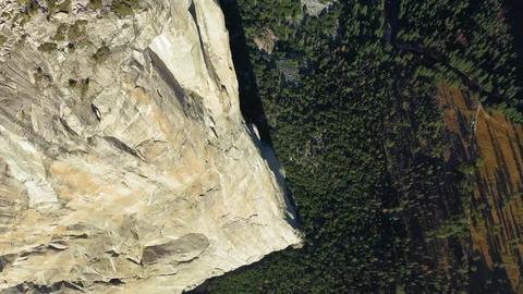 Dense forest at the foot of the huge impressive slope of famous rock El Capitan Stockbeeldmateriaal 128606703