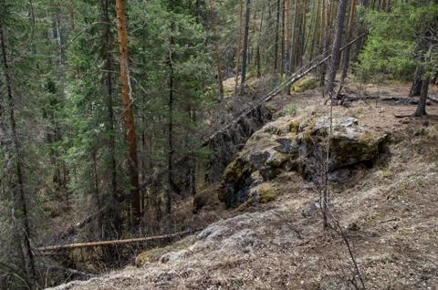 Dense forest grows on the slopes of the mountain Stock Photos