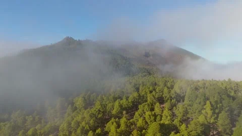 Dense forest hidden in fog on volcano slopes at Ruta de los Volcanes hiking Stock Footage 335174746