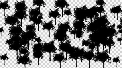 Dense forest of leafy summer tree silhouettes cutout on transparent backgroun Illustration