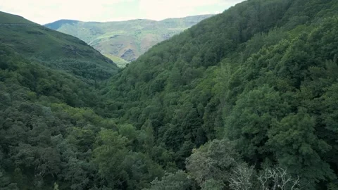 Dense Forest In The Mountain Range Near Seceda, Lugo, Spain. - aerial shot Vidéo 279565331