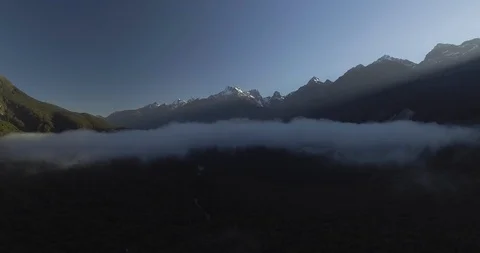 Dense forest on the mountain slope Stock Footage 95018640