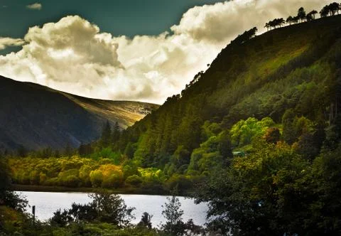 Dense forest on the mountain slopes Stock Photos