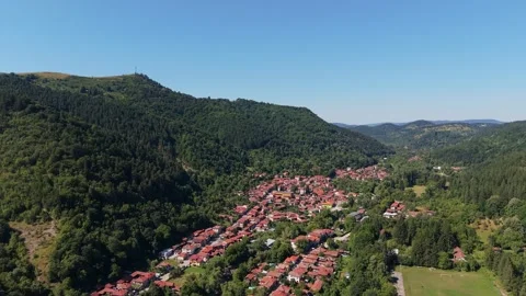 Dense Forest Mountain Terrain Cherni Osam Bulgaria Stock Footage 343914783
