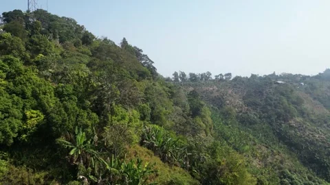 Dense forest in a mountain trees wild life sanctuary in bangladesh Stock Footage 300936998
