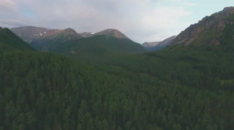 Dense forest in mountains, aerial view Stock Footage 66859225