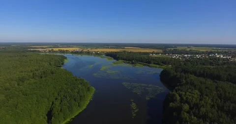 Dense forest next to the river and houses Stock Footage 265858721