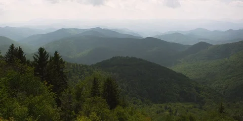 Dense forest over the Blue Ridge Mountains from the Blue Ridge Parkway Stock Footage 103400626