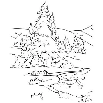 Dense forest with a path Illustrazione stock